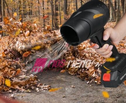 Paisje për pastrimin e gjetheve