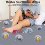 Batanije Elektrike - Figura 2